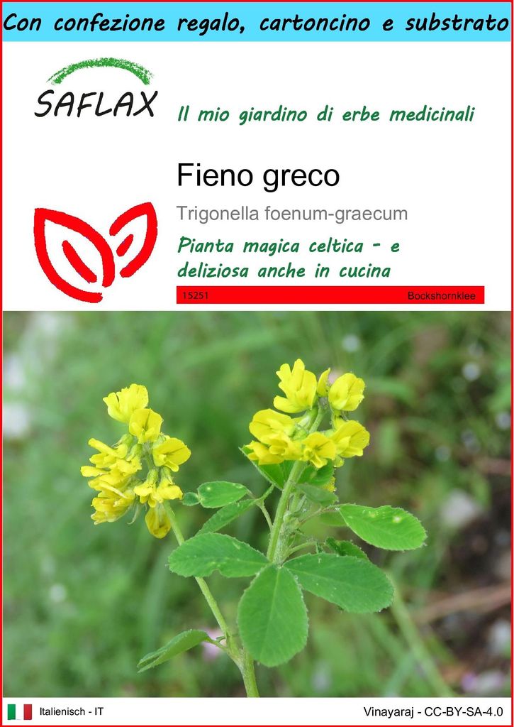 SAFLAX Set regalo - Fieno greco - 100 semi - Trigonella Immagine del prodotto 