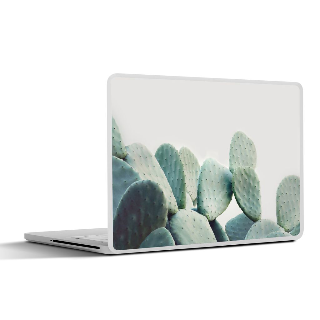 MuchoWow Laptop Aufkleber Sticker Cover Kaktus - Grün - Pflanze - Natur 30x22 cm - Laptop-Sticker