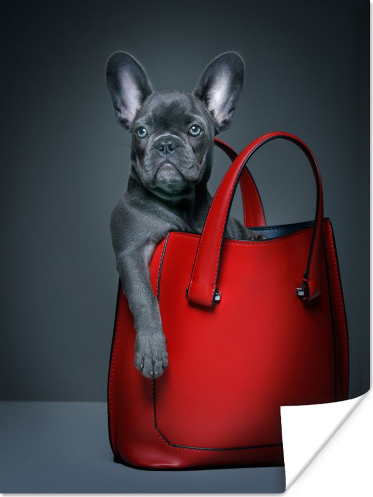 MuchoWow Poster Hund - Lustig - Tasche - Kinder - Jungen - Mädchen - Kinder 30x40 cm - Wandplakat - Poster Kinderzimmer