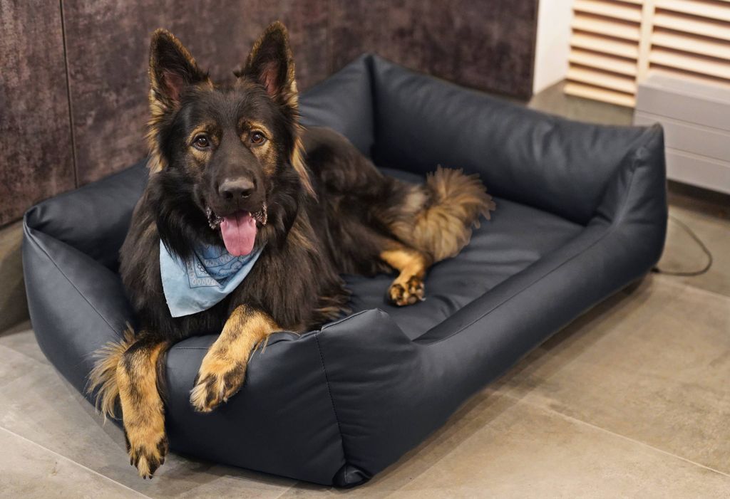 4L Textil MARIO Hundebett Kunstleder schwarz Hundebett Produktbild 5
