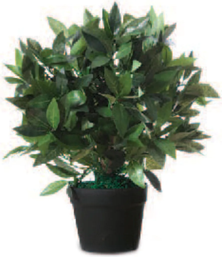 Albero Alloro Artificiale 50 cm Paperflow: Arredo Verde per Uffici