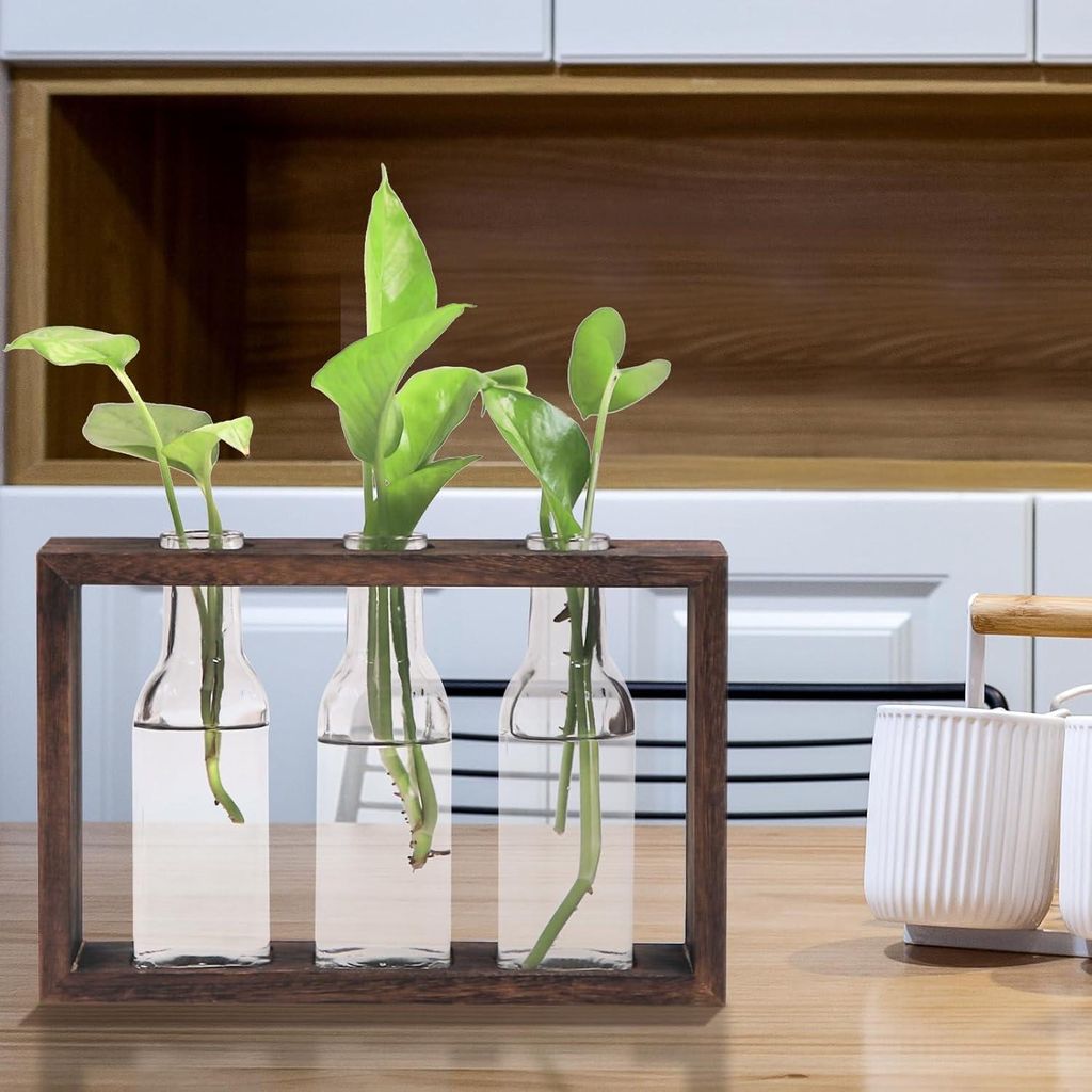 Desktop Glas-Pflantenterrarium mit Holzständer - 3 Reagenzgläser - Hydrokulturpflanzen - Büro Wohnkultur