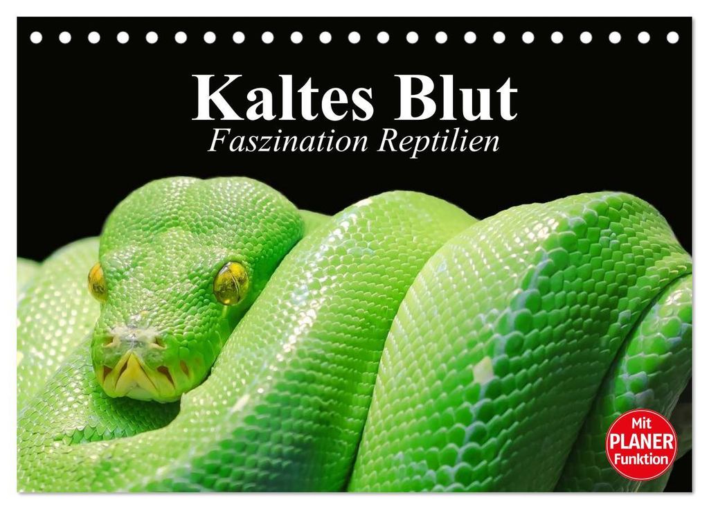 Kaltes Blut. Faszination Reptilien (Tischkalender 2027 DIN A5 quer), CALVENDO Monatskalender