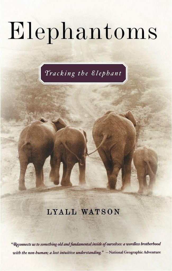 Elephantoms - Tracking the Elephant