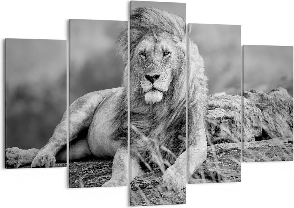 Bild auf Leinwand - Leinwandbild - Löwe Tier Natur - 150x100cm - Wand Bild - Wanddeko - Wandbilder - Leinwanddruck - Bilder - Kunstdruck - Wanddek...