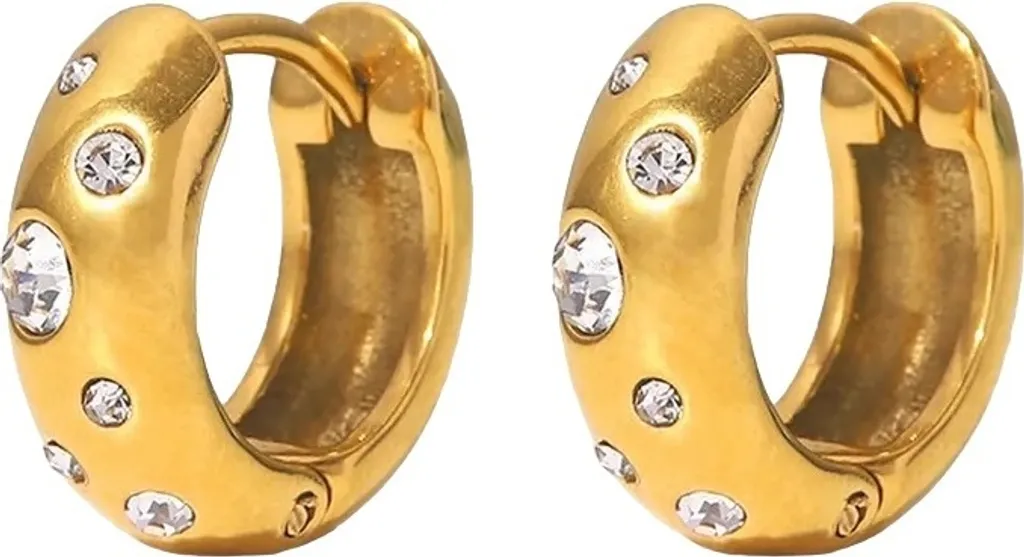 Orecchini Yuka Oro Zirconi KP23312: Brillantezza Quotidiana Garantita