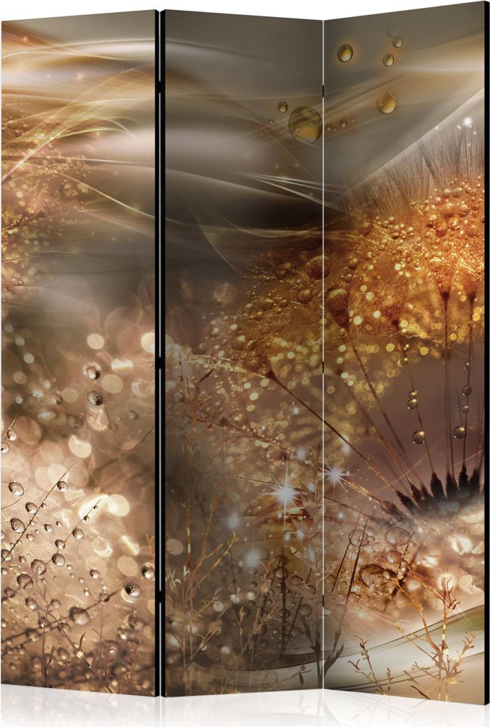 Neuheit! Dekorativer Paravent Raumteiler Trennwand Foto-Paravent Spanische Wand XXL PUSTEBLUME NATUR ABSTRAKT 135x172 cm b-A-0755-z-b