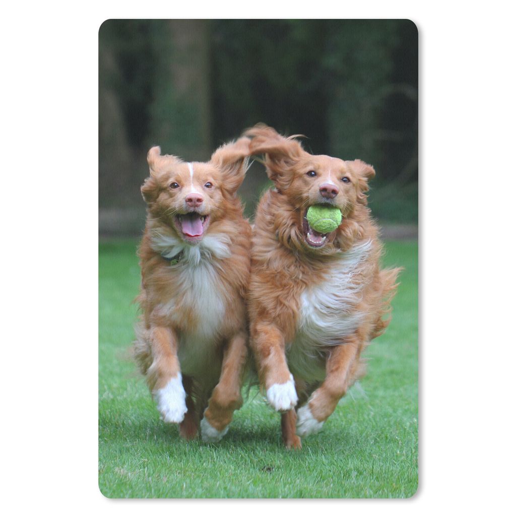 MuchoWow Mauspad Mousepad Zwei Hunde spielen mit Ball 40x60 cm - Mousepads - Maus Mat - Pad - Mausunterlage - Schreibtisch Accesoire