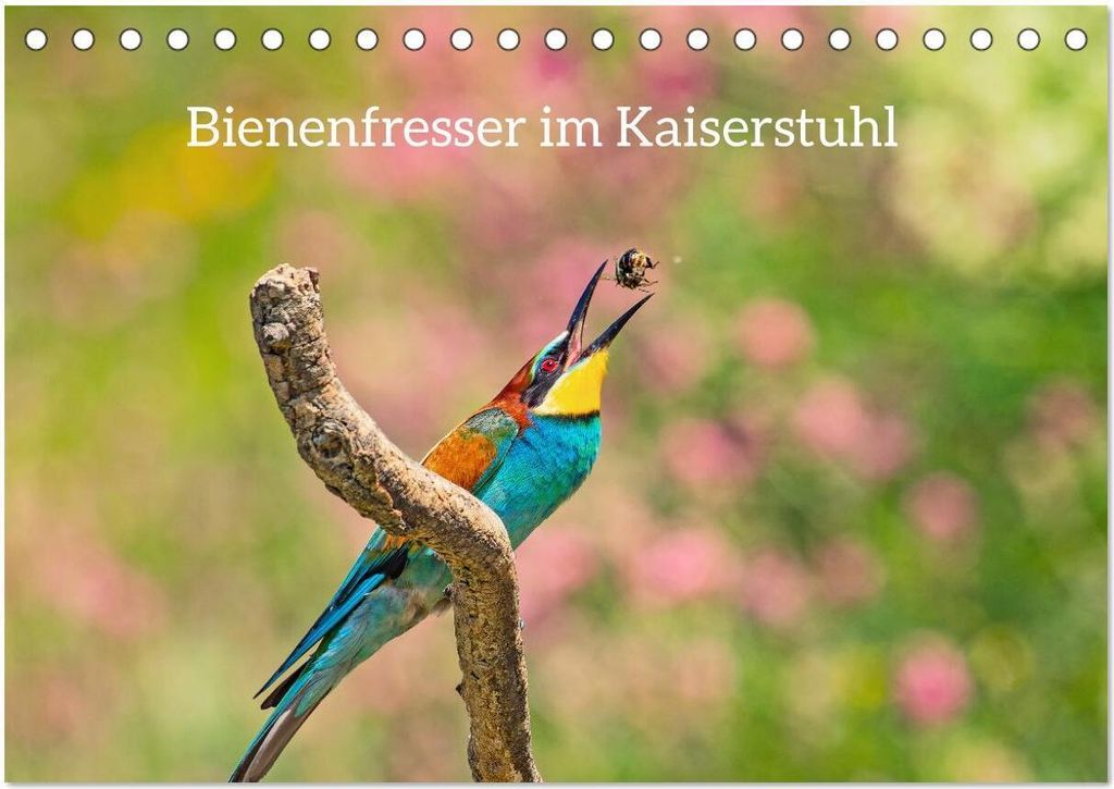Bienenfresser im Kaiserstuhl (Tischkalender 2026 DIN A5 quer), CALVENDO Monatskalender