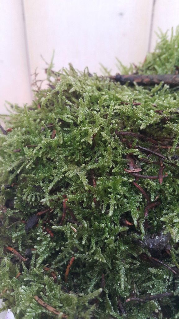 Warentuin Producten