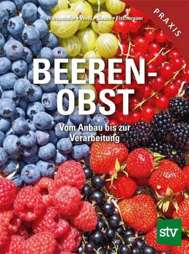 Baies Beerenobst fraîches sans résidus sélectionnée à la main 300g