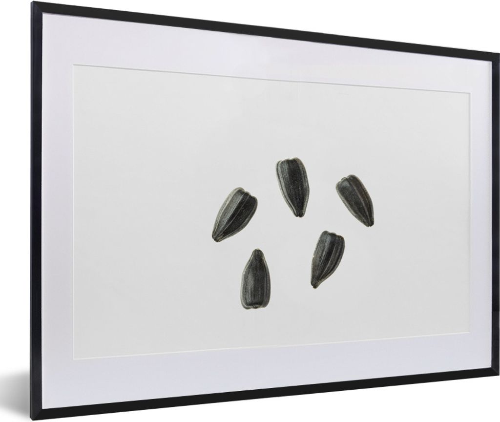 MuchoWow MuchoWow Gerahmtes Poster Schwarze Sonnenblumenkerne auf weißem Hintergrund 60x40 cm - Poster mit zchwarzem Bilderrahmen - Schlafzimm...