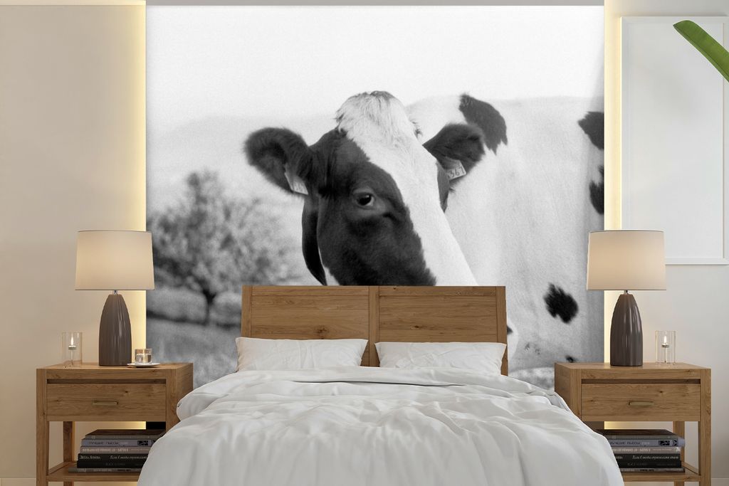 MuchoWow Fototapete für Wohnzimmer oder Schlafzimmer Wandtapete Vinyl Motivtapete Porträt einer Kuh - 280x280 cm - Hintergrundbild
