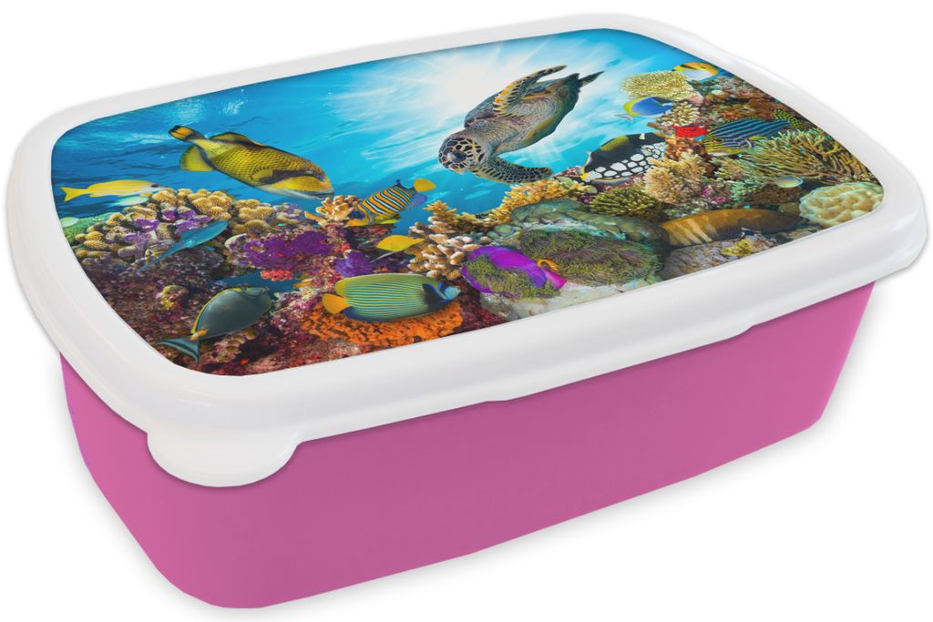 KitchenYeah Lunchbox Brotzeit Brotdose 17x11 cm Schildkröte - Meer - Koralle Kinder Brotzeitdose - Lunchpaket - Brotkasten - Sandwich Box