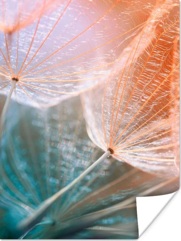 MuchoWow Poster Blume - Löwenzahn - Pflanze 120x160 cm - Wandbilder