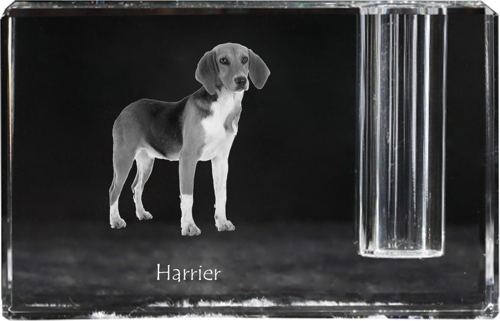 Harrier - Stifthalter, Kristallorganizer mit Hundefoto, einzigartige Schreibtischdekoration der Marke Art-Dog