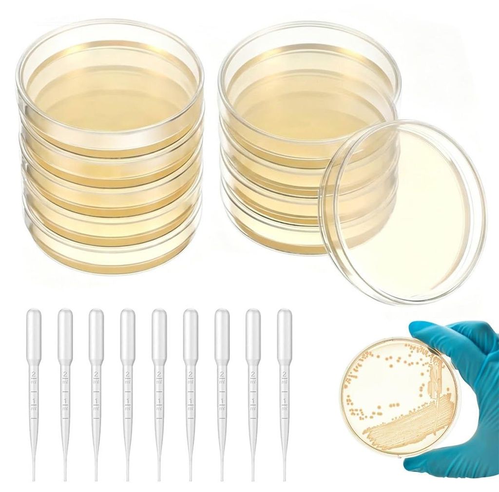 Petrischalen-Set, 9 Stück, steril, mit Deckel & Pipetten