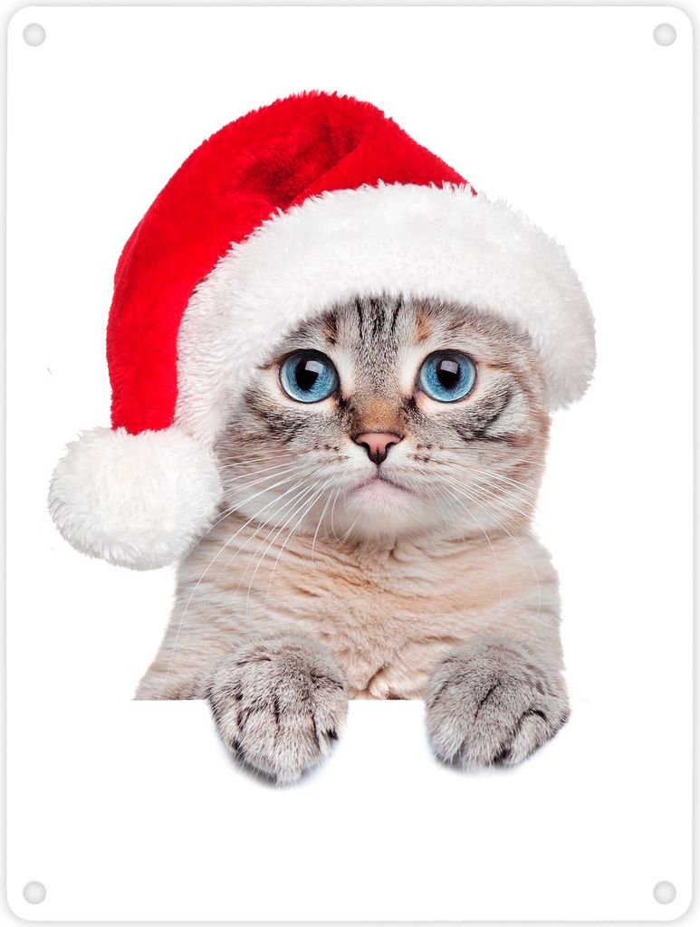 Kätzchen Metallschild mit rot-weißer Weihnachtsmann Mütze Schild Blechschild