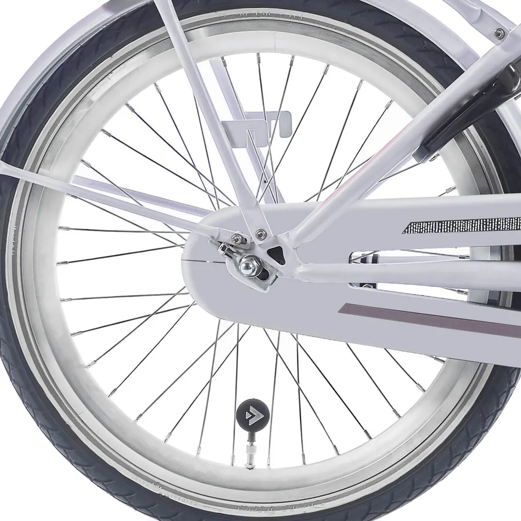 Roue arrière de vélo 22 pouces Alpina HLQC Ocean Clubb en zinc argent