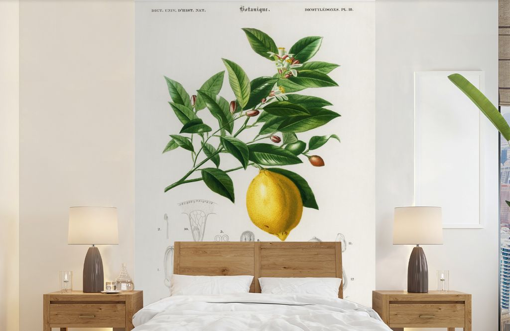 MuchoWow Fototapete für Wohnzimmer oder Schlafzimmer Wandtapete Vinyl Motivtapete Zitrone - Zweig - Blätter - 190x300 cm - Kinderzimmer