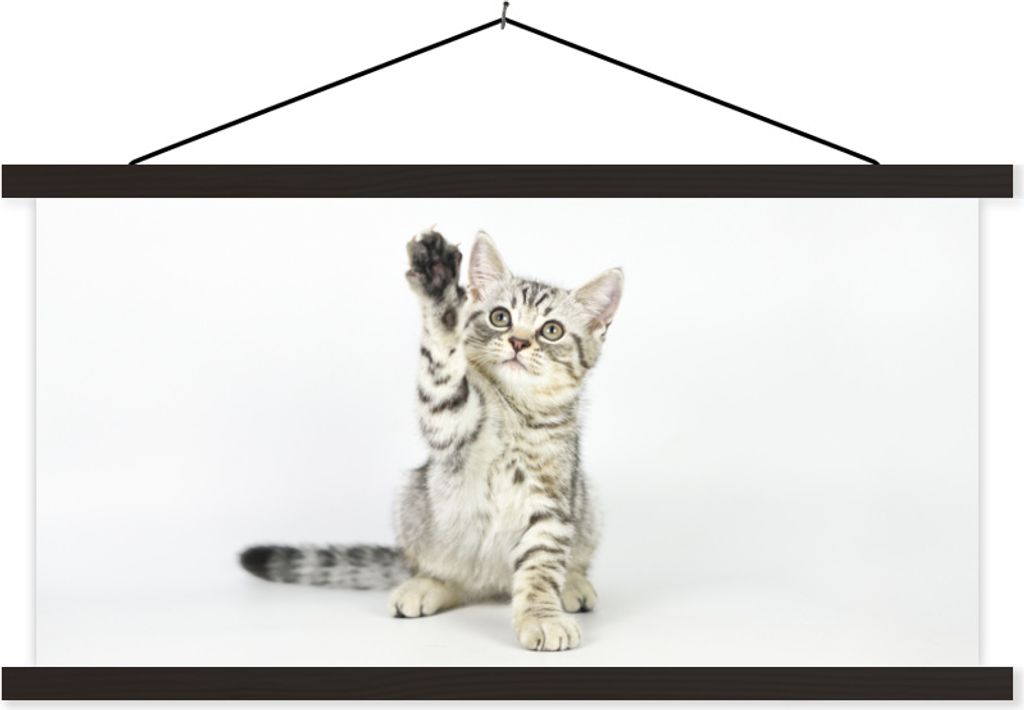 MuchoWow Textilposter Kätzchen - Pfote - Weiß - Mädchen - Kinder - Jungen - Kind 60x30 cm mit schwarzem Rahmen - Textilien