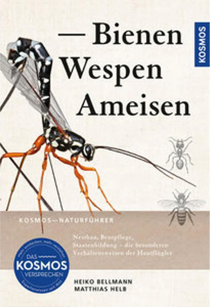 Guide d'identification Bienen, Wespen, Ameisen pour les Naturalistes