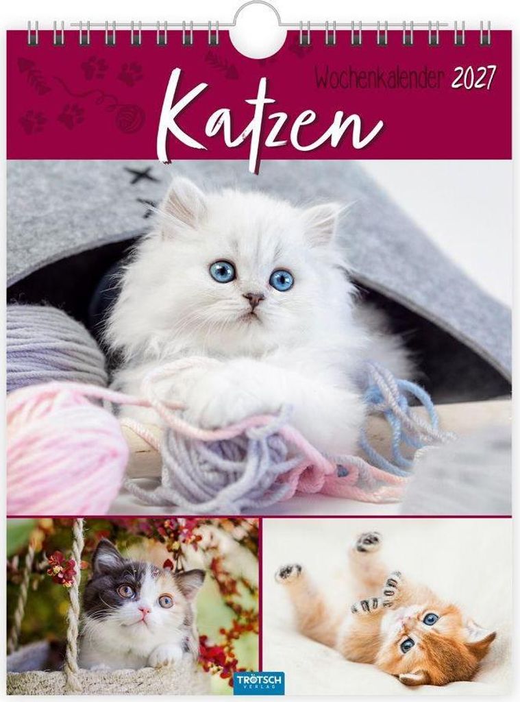 TRÖTSCH - Wochenkalender zum Hängen Katzen 2027