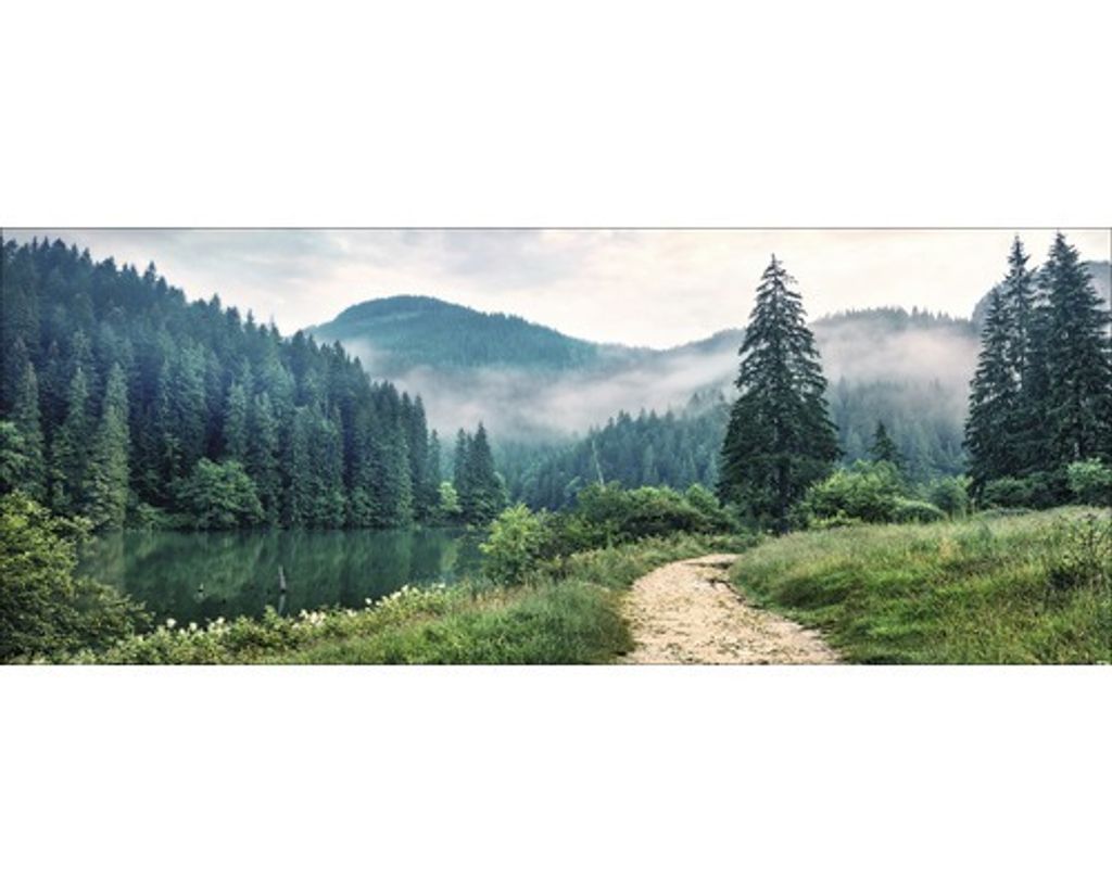 Glasbild Forest Trail 125x50 cm