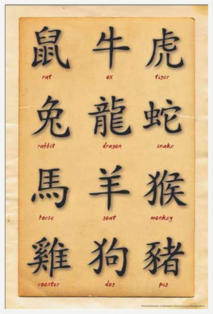 Déco Murale Zen : Affiche Signes Chinois et Cadre Blanc Shinsuke Pro