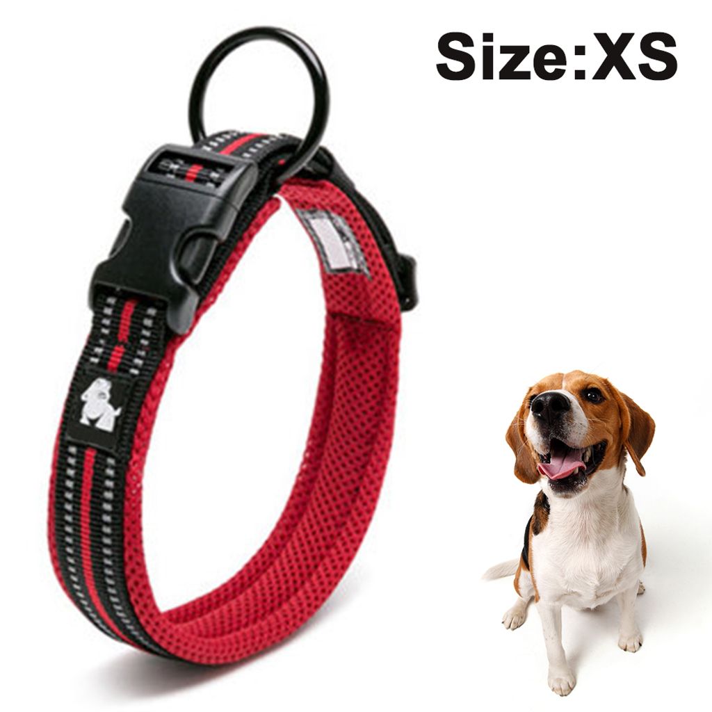 The Comfort Collar Hundehalsband – Weiches Rindsleder, Gepolstert, Reflektierend, Für Große Hunde (Größe S, Neongelb)