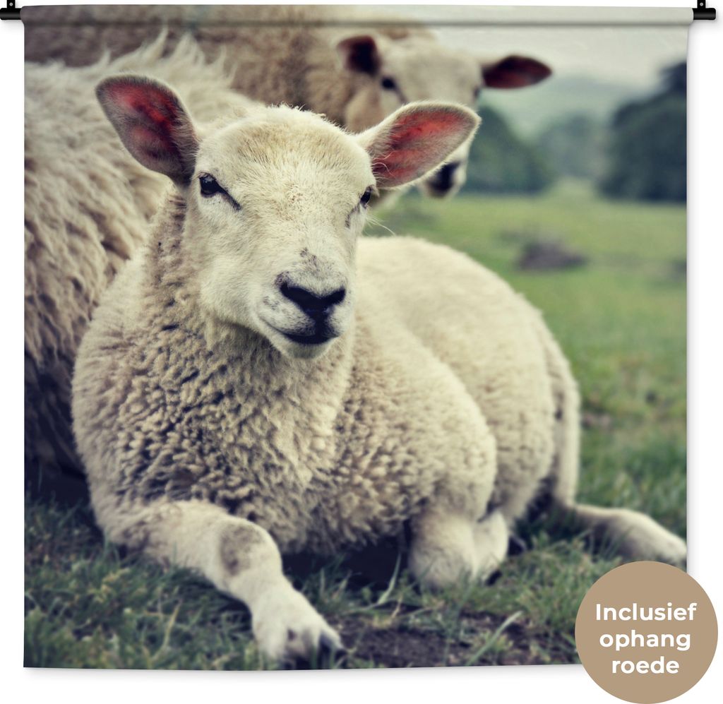 MuchoWow Wandteppich Wandbehang Schaf - Lamm - Gras 120x120 cm Tapisserie Dekoration Wandtuch - Modern - Baumwollgewebe