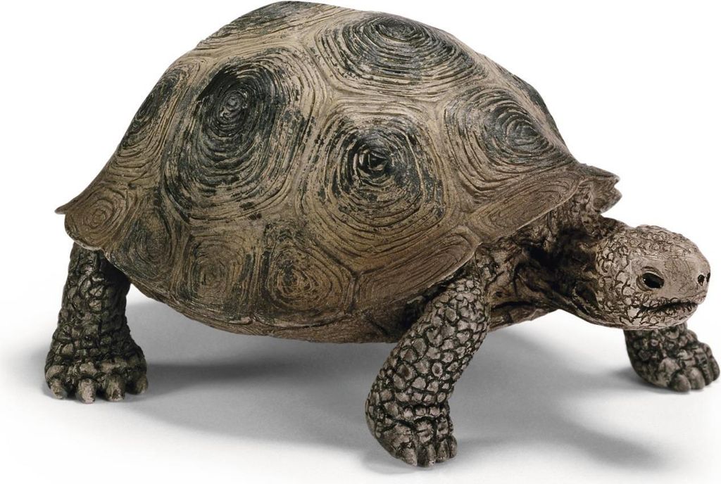 Riesenschildkröte Schleich 14601 Produktbild 