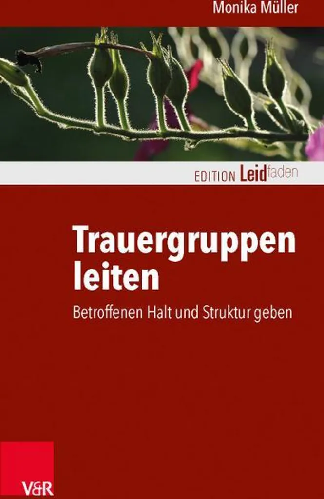 Manuel Trauergruppen leiten Animer un groupe de parole deuil adulte