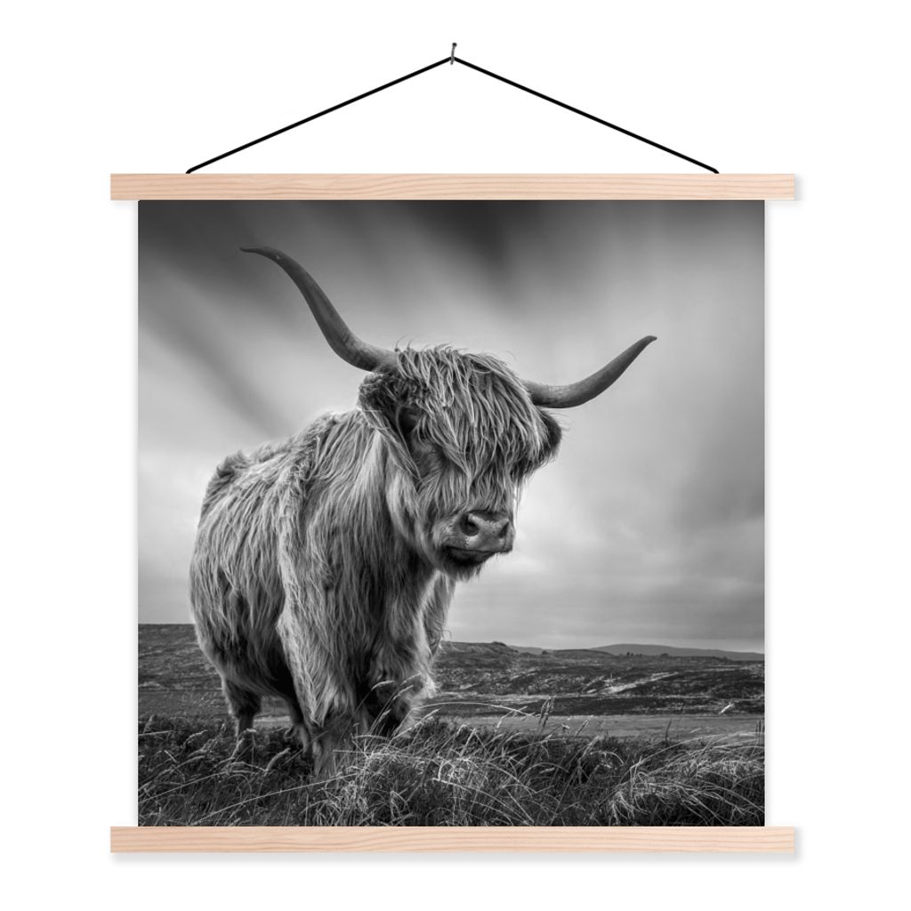 MuchoWow Textilposter Kühe - Schottische Hochlandkühe - Natur - Tiere - Schwarz und weiß 40x40 cm mit holzfarbenen Rahmen - Posterleiste