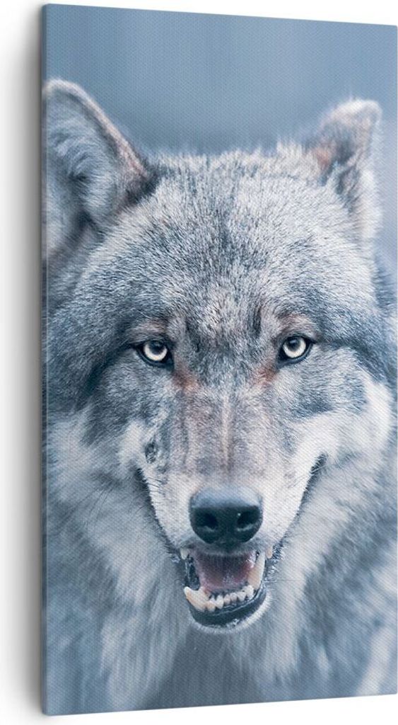 Bild auf Leinwand - Leinwandbild - Einteilig - Wolf Raubtier Wildheit - 45x80cm - Wand Bild - Wanddeko - Wandbilder - Leinwanddruck - Bilder - Wand...