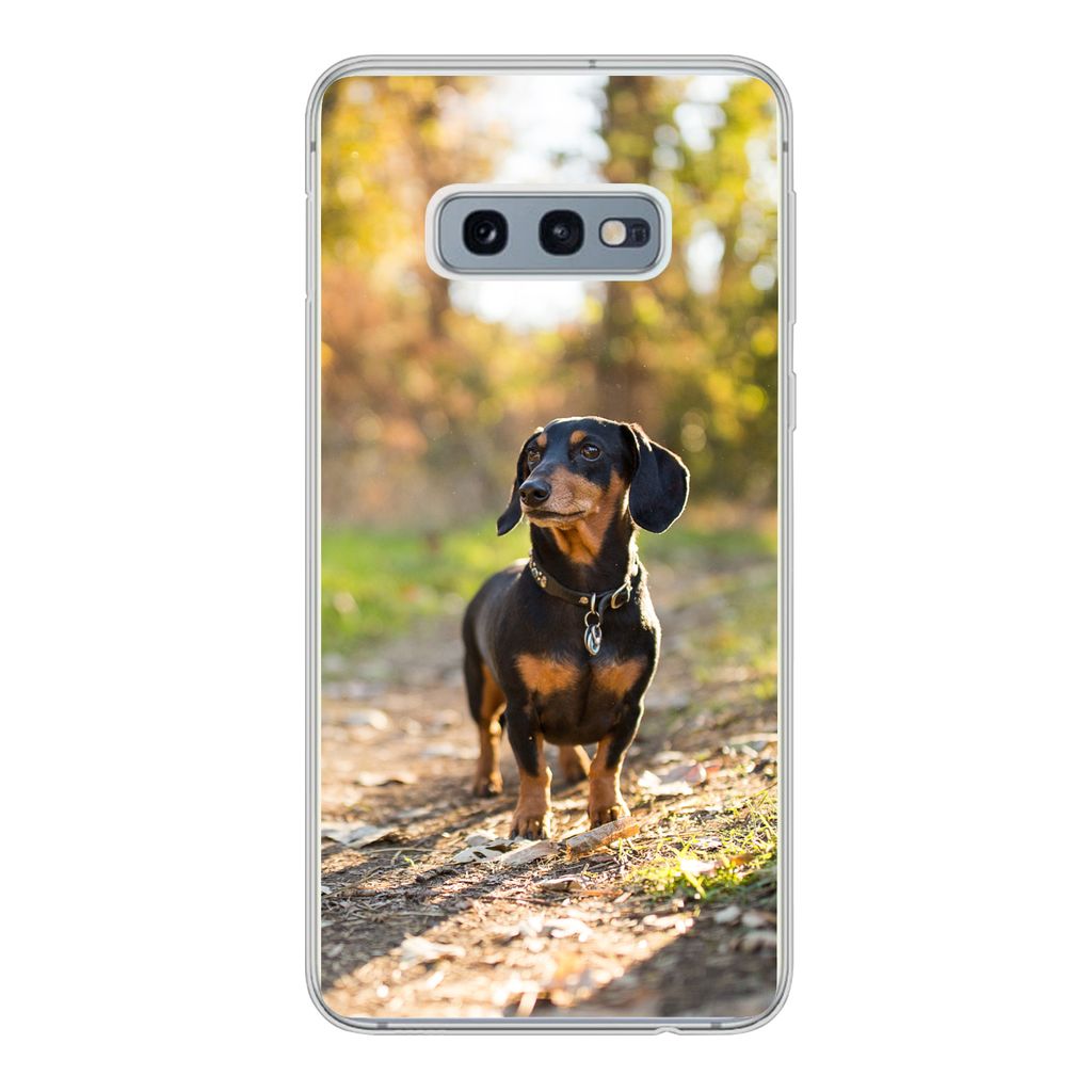 MuchoWow Handyhülle Schutzhülle Hülle für Samsung Galaxy S10e Ein schöner Dackel im Wald Silikon Softcase Handy Hülle - Handy