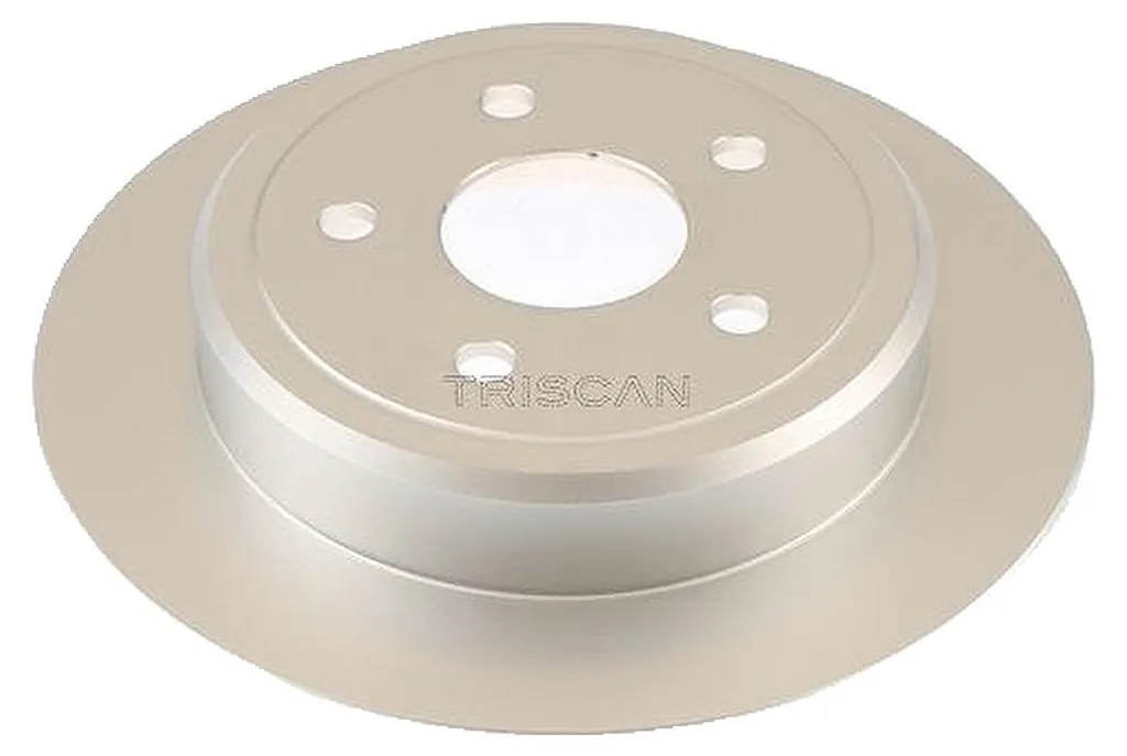 Pack 2 Disques de Frein Arrière pour Entretien Auto TRISCAN 8120 101069C Fiable