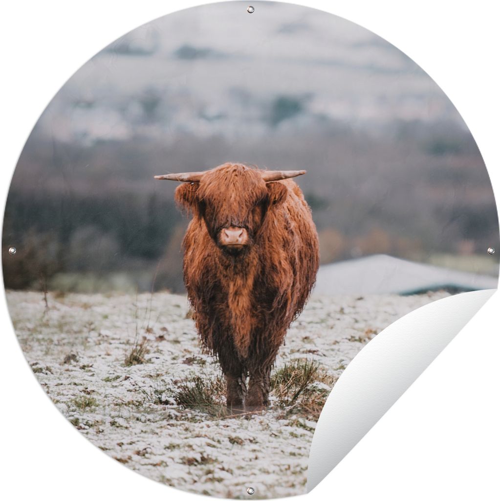 MuchoWow Gartenposter Outdoor-Poster Rund Schottischer Highlander - Schnee - Berg Ø 60 cm Gartendeko Rundes Poster draußen