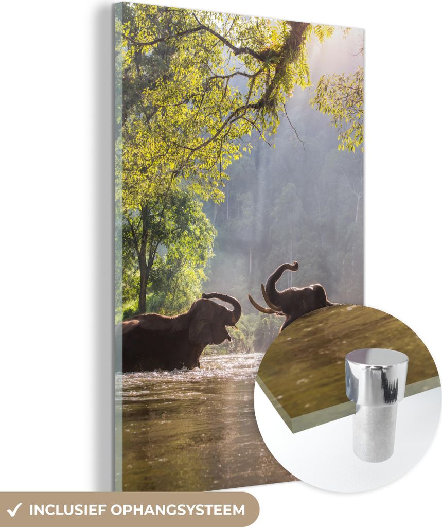 MuchoWow Glasbilder - Bilder auf Wandbild - Foto auf Glas Elefant - Wasser - Tiere - Bäume - Sonne 80x120 cm Wanddekoration aus Glas - Acrylglasbi...