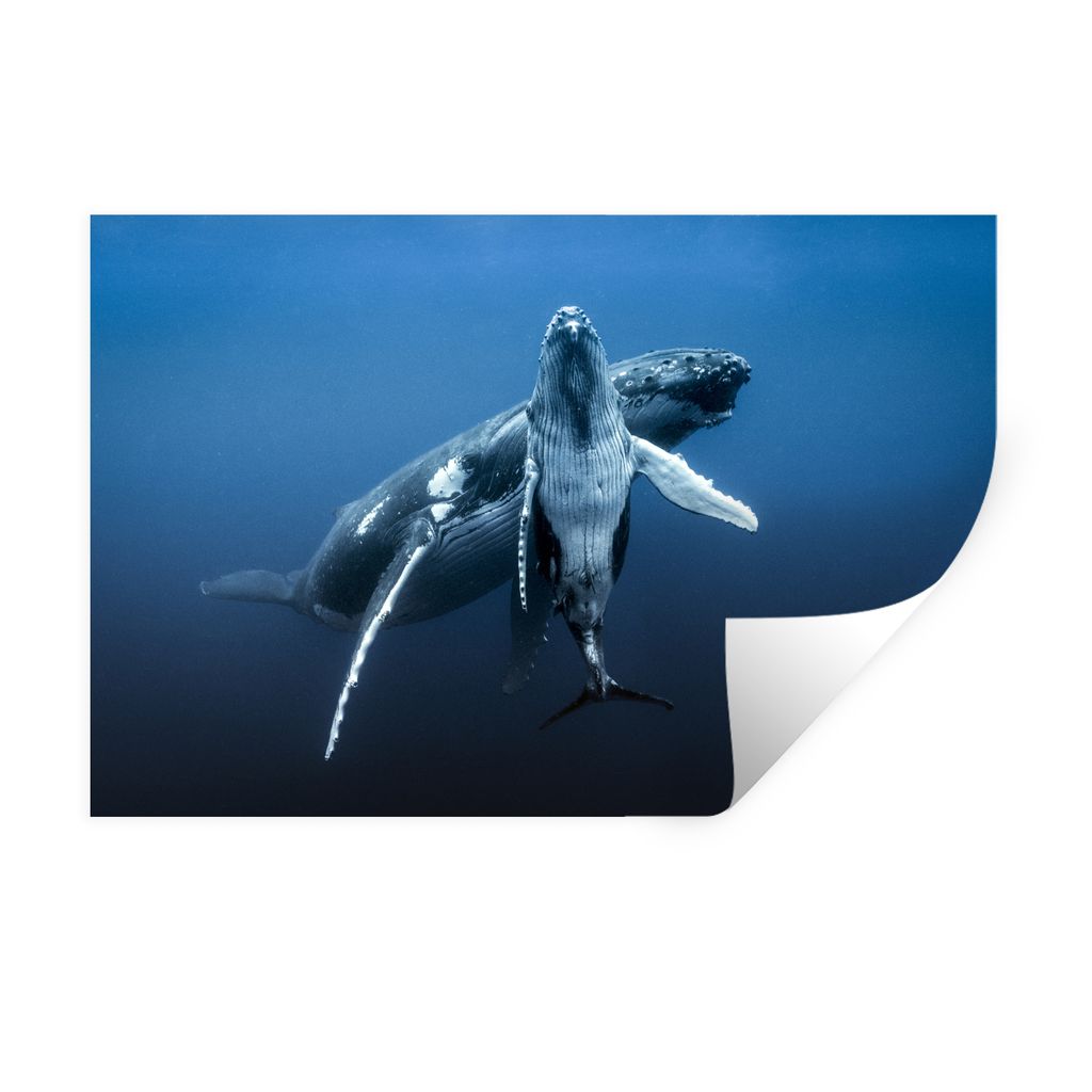 MuchoWow Wandtattoo Wandsticker Wandaufkleber Wal - Meer - Blau 90x60 cm Selbstklebend und Repositionierbar - Aufkleber