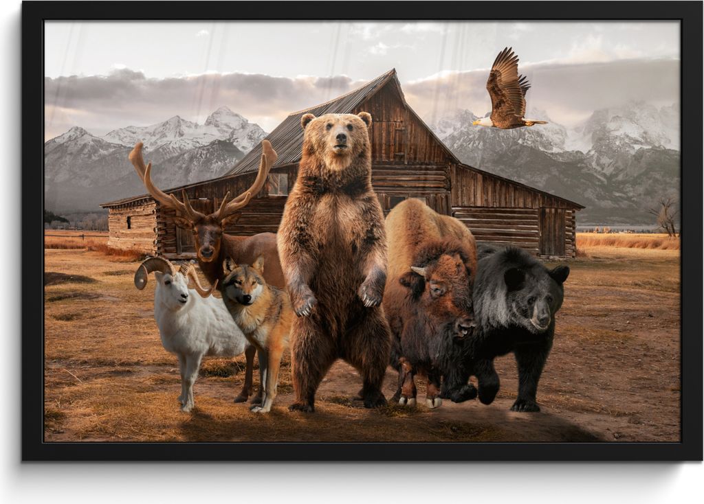 MuchoWow MuchoWow Gerahmtes Poster Bär - Big Five - Tiere 60x40 cm - Poster mit zchwarzem Bilderrahmen - Printing - Wanddeko Schlafzimmer