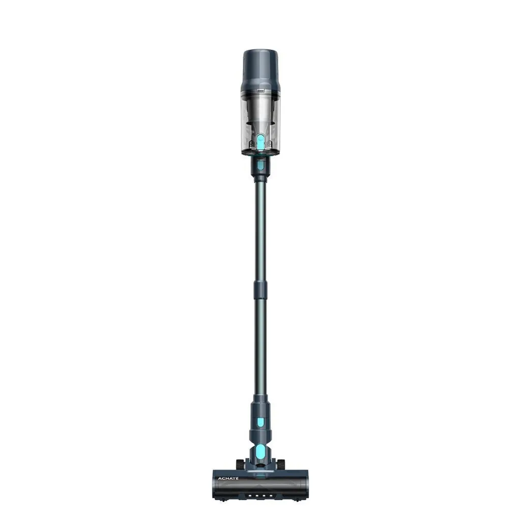 Aspirateur à main pour éliminer rapidement les poils de chat