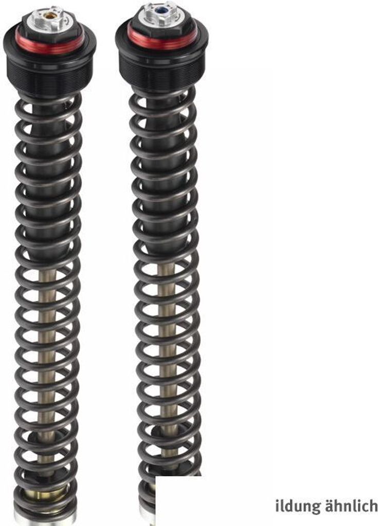 BITUBO Gabelkassette mit manueller Federvorspannung für BMW F 800 GS