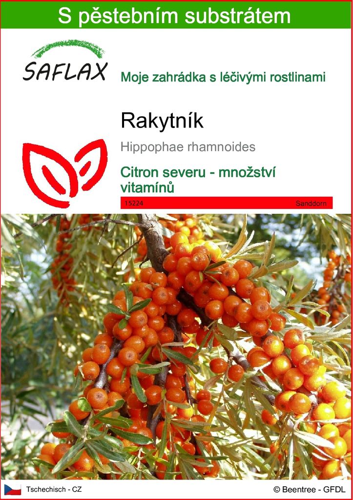 SAFLAX - rakytník - Hippophae rhamnoides - 40 Semena - S Obrázek produktu 