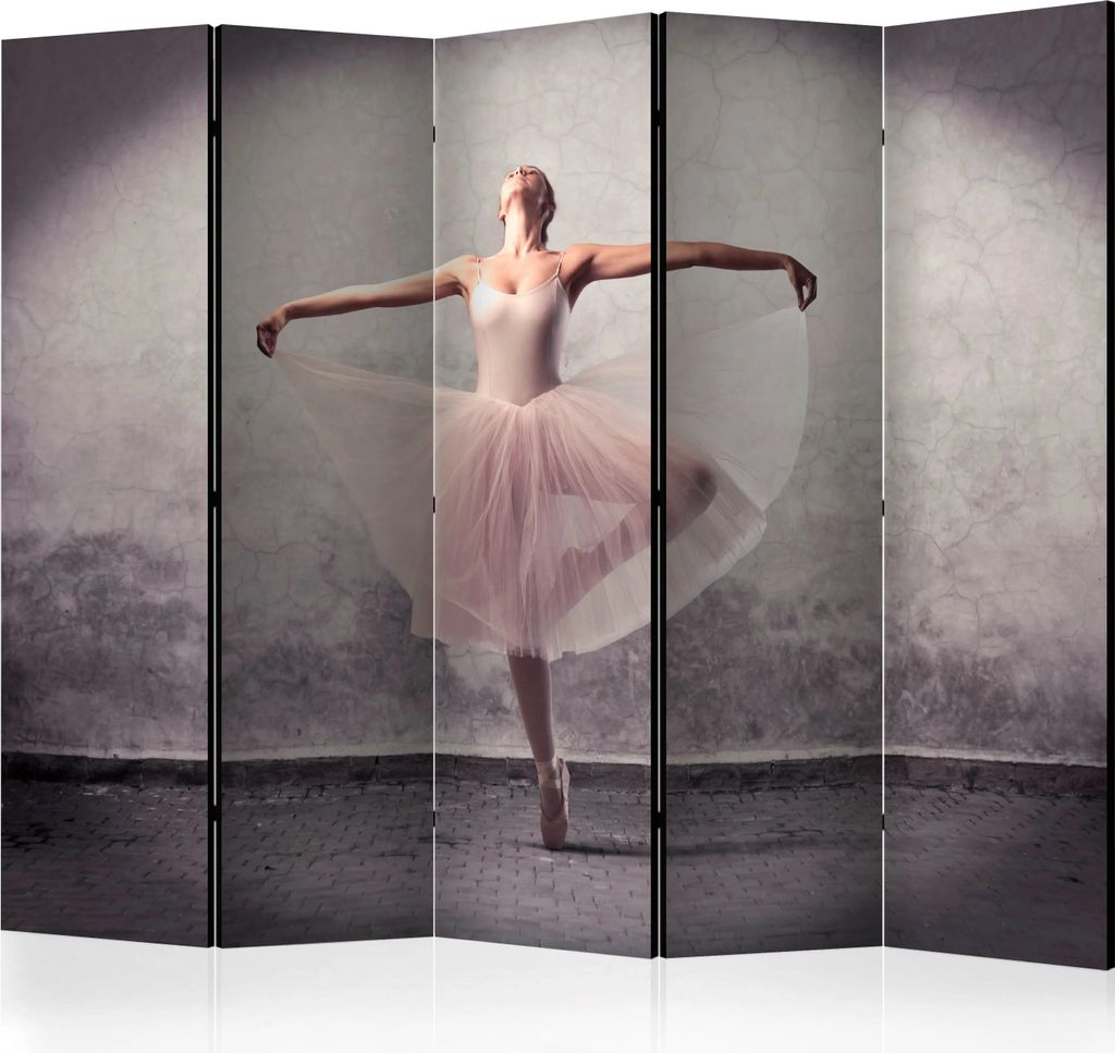 5-teiliger Einseitiger Vlies Paravent - Classical dance - poetry without words II 225x172 cm Menschen h-C-0125-z-c