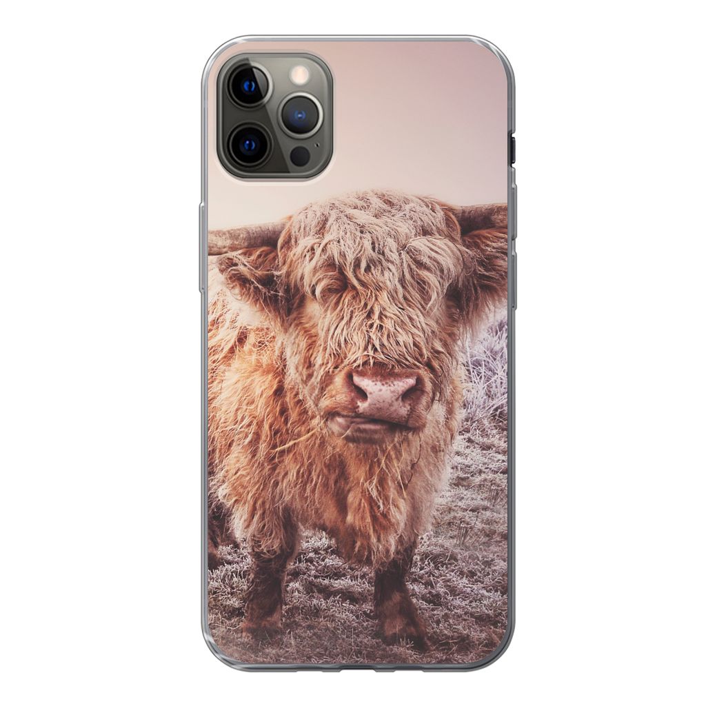MuchoWow Handyhülle Schutzhülle Hülle für iPhone 12 Pro Max Schottische Hochlandbewohner - Licht - Himmel - Natur Silikon Softcase Handy Hül...