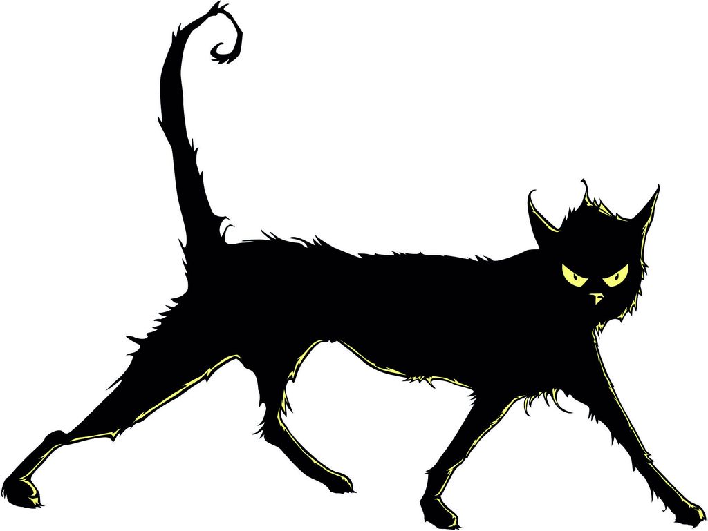 Kiwistar sträubende Katze Mehrfarbig WANDTATTOO 60 x 45cm - Dekoration für Kinderzimmer Schlafzimmer Wohnzimmer Küche Badezimmer