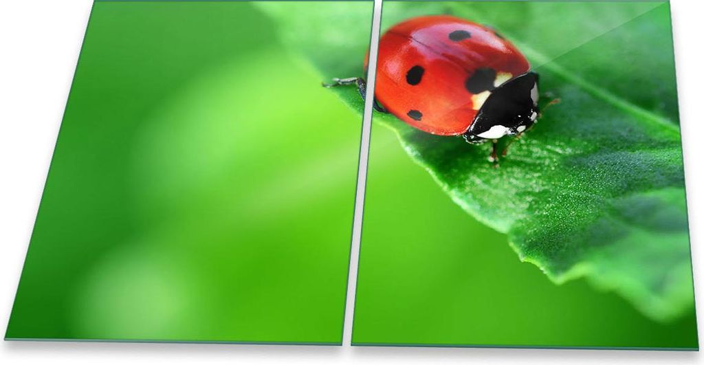 Herdabdeckplatte Glaskeramik 2-Teilig 2x40x52 Tiere Grün Abdeckung Spritzschutz Glas