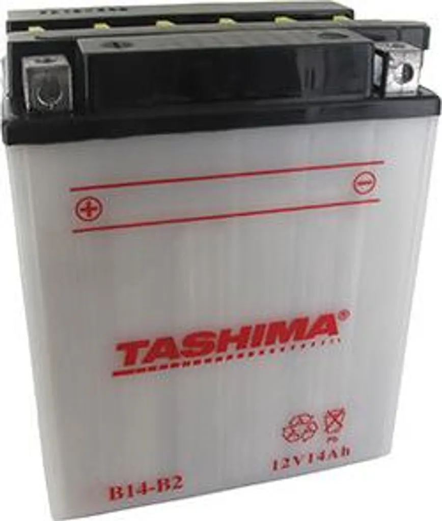 Batterie 12V 14Ah plomb renforcé Tashima livrée avec pack acide
