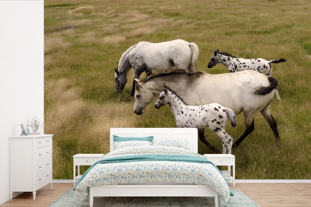 MuchoWow Fototapete für Wohnzimmer oder Schlafzimmer Wandtapete Vinyl Motivtapete Pferde - Fohlen - Tiere - 360x240 cm - Vinyl-Tapete